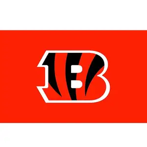 Entrega rápida personalizado 100% poliéster equipo deportivo fanáticos del fútbol 3x5ft Cincinnati Bengals bandera con ojales