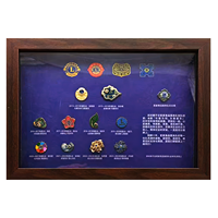 Cadre de présentation mural en verre et bois pour épingles en émail, badges, médailles, fleurs, animaux, collection décorative écologique
