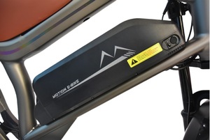 Batería de Litio de Acero M20 48V con Motor sin Escobillas, Estilo Deportivo, Neumático Ancho, Alta Velocidad, Disponible en EE. UU. y la UE - Product Image 6