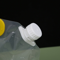 Emballage personnalisé Offre Spéciale pour la vente en gros de sachets en plastique de sac de bec transparent avec le sac d'eau clair de buse d'aspiration 2.5L 5L
