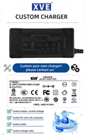 Adaptateur d'alimentation 12V 6A personnalisé pour serveur NAS / Cloud avec certification CE PSE UL KC