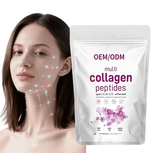 Collagène en poudre pour boisson solide OEM, formule à dissolution instantanée, soutien à la santé de la peau et des articulations, sans gluten, collagène de type 1 et 3, peptides - Product Image 1