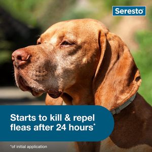 Collar Antipulgas y Garrapatas Elanco <span class=keywords><strong>Seresto</strong></span> para Perros Grandes de 18 Libras o Más, 8 Meses de Protección, Sin Olor, No Grasoso - Product Image 5