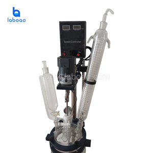 Mini reactor de vidrio estándar de doble camisa con acero inoxidable 304 - Product Image 2