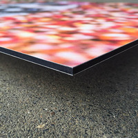 1220*2440Mm 3*0,21mm letrero publicitario ACP/ACM Panel compuesto de aluminio para publicidad de tiendas