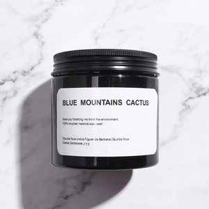 Lọ Mỹ Phẩm Hộp Đựng Thực Phẩm 8Oz 250Ml 300Ml 500Ml Lọ Nhựa PET Trong Suốt Có Nắp Đậy Bằng Vít - Product Image 3