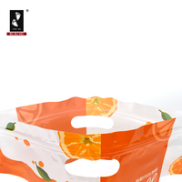Bolsas de Plástico para Envasado al Vacío, para Alimentos Congelados, Grado Alimenticio, Resistentes a la Humedad, Personalizables con Logotipo y Color
