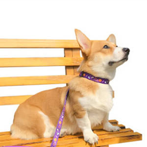 สายจูงสุนัขทำจากโพลีเอสเตอร์สุดหรูสายจูงสุนัขแบบปรับแต่งได้สายจูงสุนัขสะท้อนแสงพิมพ์ลายแฟชั่น - Product Image 4