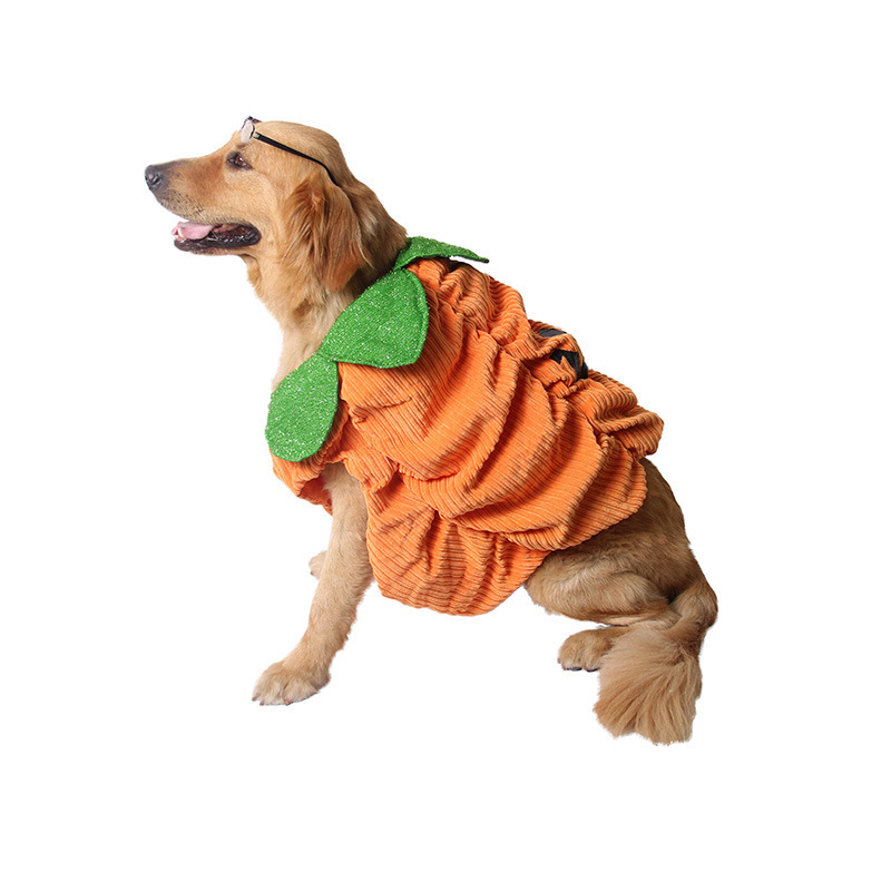 Suéter Para Mascota De Calabaza Halloween | Para Perros Y Gatos Pequeños/Medianos | Diseño Festivo Y Cómodo