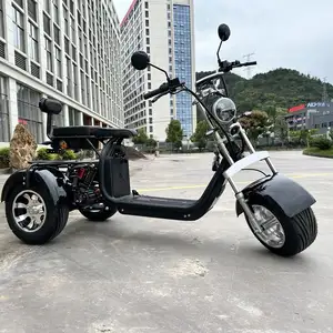 Electric Golf Cart Eu Warehouse Free Shipping 2000W 100Km Long Range City Coco 3 Wheel Tricycle Electric Citycoco Scooter Eec