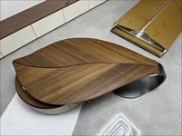 Table basse de rangement design, forme spéciale, écologique, luxe léger, moderne, en forme de feuille, placage noyer, garantie 1 an, pour salon
