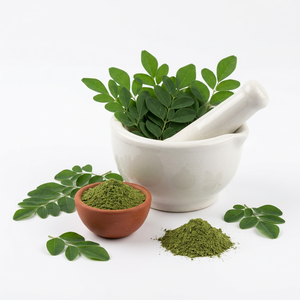 Fournisseur en gros de poudre de Moringa pour adultes, compléments alimentaires à base de plantes, non destiné aux femmes enceintes ou aux adolescents, directement d'Inde - Product Image 1