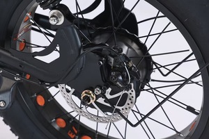 2025 almacén Ridstar Q20Mini bicicleta eléctrica Motor sin escobillas batería de litio montaña neumático grueso bicicleta eléctrica Dirt <span class=keywords><strong>E</strong></span> Bike - Product Image 3