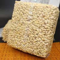 Proveedor Mayorista de Piñones de Siberia a Granel, Snacks Saludables, Crudos, Venta a Nivel Mundial