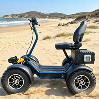 Chariot utilitaire électrique de plage à quatre roues Leodoo avec une vitesse de 50-70 km/h et une autonomie de 50-70 km
