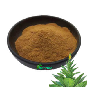 Integratore Naturale a Base di Erbe: Gocce di Estratto di Foglie di Verbasco e Polvere di Estratto di Foglie di Verbasco per i Polmoni - Product Image 2