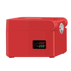 Presse à huile à froid RG108 compacte pour petites entreprises – Idéale pour avocat, sésame, moringa, rose musquée, noix, arachide, graines de cumin noir, palme et tournesol - Product Image 5