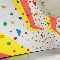 Mur d'escalade intérieur/extérieur résistant aux intempéries, mur d'escalade pour jeux de parc