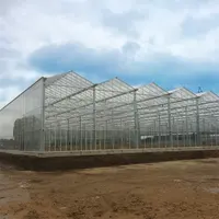 Serra di vetro מגולוון פלדת מסגרת גידול הידרופוני חקלאי Venlo חממה זכוכית חממה