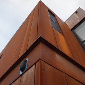 Revêtement mural perforé en acier Corten découpé au laser, aspect rouille naturelle, panneaux décoratifs pour hôtels et bâtiments - Product Image 6