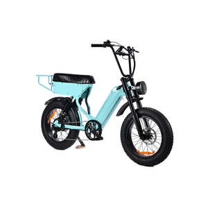 Vélo à pneus larges EU à suspension intégrale 250w/750w EBIKE 20 pouces Vélo de montagne rétro E-Bike pas cher tout-terrain X80 E-BIKE Usine Elektrische Fietsen - Product Image 4