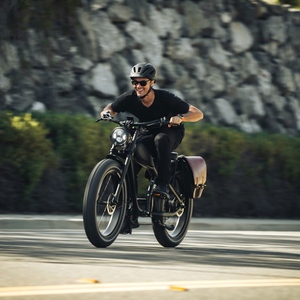 Bicicleta Eléctrica Cheetah Pro Vintage con Llantas Gruesas, Motor de 750W de Potencia Máxima, 100 Millas de Autonomía, Batería de 15+15AH, Bicicleta Eléctrica Retro Tipo Moped, Venta al Por Mayor - Product Image 4