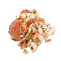 Chitosan 99% à haute viscosité de poids moléculaire élevé provenant de coquilles de crevettes
