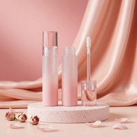 6ml Leere Lipgloss-Tuben aus Kunststoff, Farbverlauf Rosa Nude Lippenöl-Flasche, Runde Mattierte Flüssig-Lippenstift-Tube, Großhandel