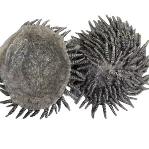 Sistema de cabello humano 100% atado a mano para <span class=keywords><strong>hombre</strong></span> 1B80 gris #8*10 <span class=keywords><strong>trenzas</strong></span> <span class=keywords><strong>afro</strong></span> Base de PU de piel de 6 pulgadas con densidad 130% - Product Image 4