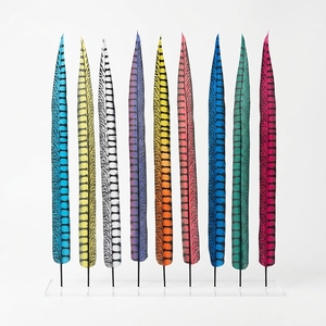 Piume di Fagiano da 65 cm Personalizzabili in Colore e Dimensione, Produttore con MOQ Basso per Costumi Festivi e Decorazioni di Abbigliamento - Product Image 1