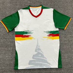 Großhandels preis Fußball trikots Fußball trikot 25 Kamerun Nationalmannschaft Fußball uniform Kamerun Fußball trikot - Product Image 2