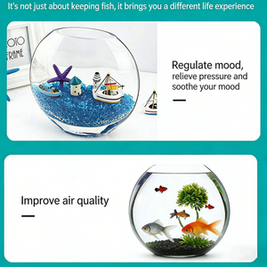 Acuario Transparente Blanco de <span class=keywords><strong>Boca</strong></span> Ancha - Mini Pecera de Vidrio Súper Pequeña - Pecera de Vidrio Creativa <span class=keywords><strong>El</strong></span>íptica para Mesa - Product Image 6