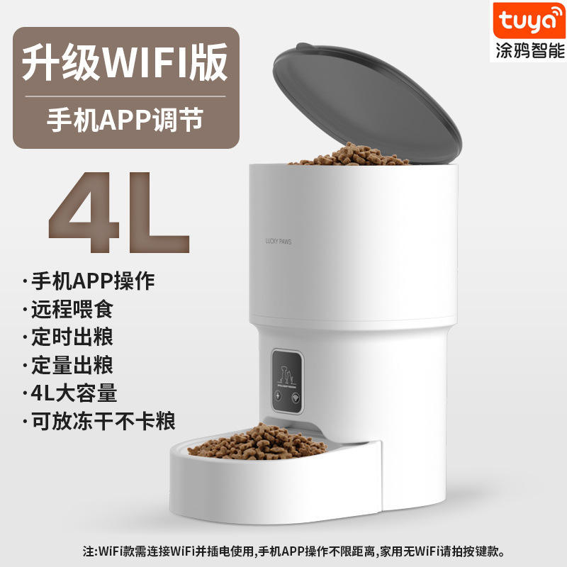 รูปแบบปุ่มพื้นฐาน