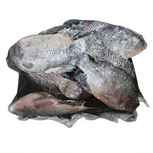 VAN BACH TUNG Pescado Congelado Entero Premium 1kg Alta Calidad Precio Alto Valor Nutricional 100% Natural Envasado al Vacío Vietnam 12+ Meses - Product Image 1