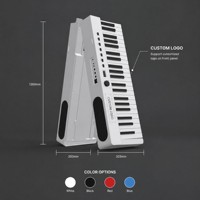 Piano Plegable de 88 Teclas, OEM, ODM, Logotipo Personalizado, Marca Privada, Pedido de Muestra, Fábrica, I+D, Teclado Digital