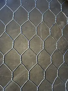 8x10 2mx1mx1m 1mx1mx1mgalvanized Pvc Coated Welded Gabion Iron Wire Mesh Box Roll Price Woven Mesh Gabion Basket