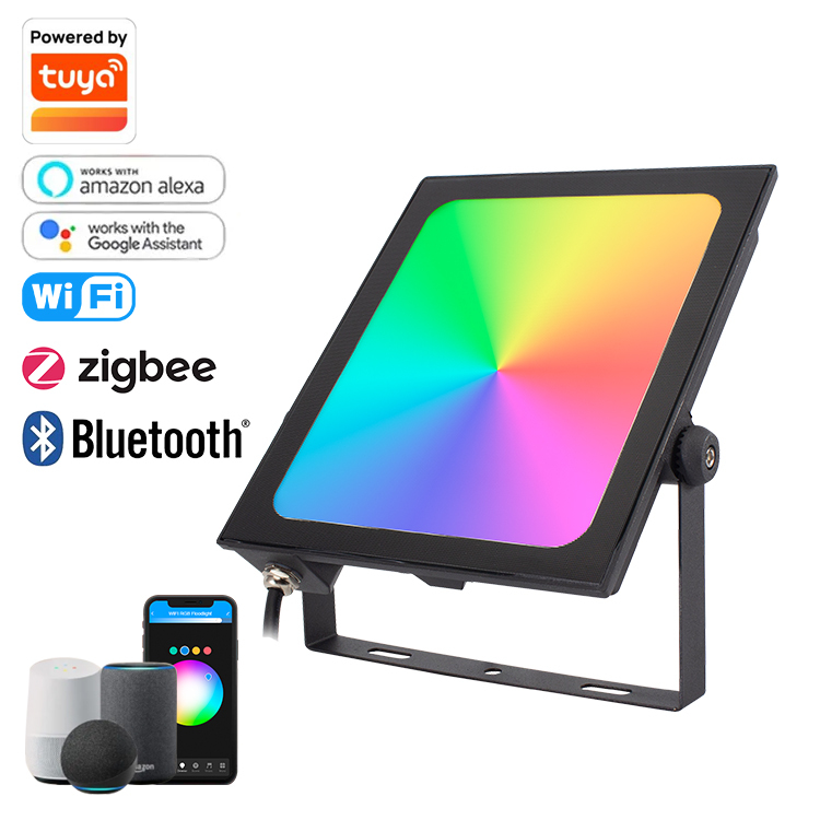 Modern 50W RGB LED Floodlight Infinite Dimming Smart Control IP65 Waterproof Aluminum Clear Glass for Road Landscape Lighting