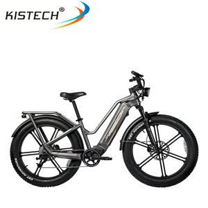 <span class=keywords><strong>Fiido</strong></span> Titan M25 eBike ไฟฟ้าขนาด26นิ้วยาง48โวลต์แบตเตอรี่14.5AH 250วัตต์มอเตอร์คาร์โก้พร้อมเซ็นเซอร์แรงบิด - Product Image 2