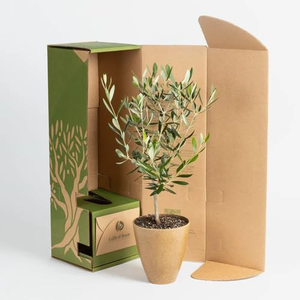 Pionera-<span class=keywords><strong>maceta</strong></span> de 14cm de alta calidad para plantas, <span class=keywords><strong>maceta</strong></span> moderna decorativa de fibra ecológica para interiores y exteriores - Product Image 4