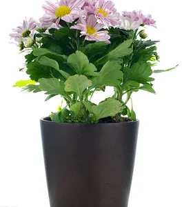 長方形プラスチック植木鉢装飾植木鉢プラスチック植物用植木鉢庭回転型