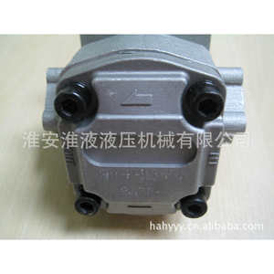 Pompes hydrauliques à palettes série GPY-F3/4/5.8/8/9/10/11/12R, neuves et d'occasion - Product Image 2