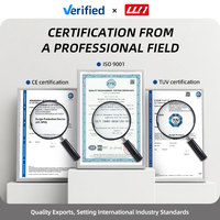 Protection contre les surtensions triphasées pour toute la maison T2 2P 4P 220V 275V 320V 440V 20KA 40KA certifiée CE avec garantie de 3 ans