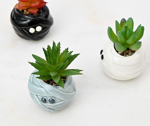 Petit pot de fleurs en céramique sur le thème d'Halloween pour plantes succulentes et plantes momies, nouvel ornement de jardin, balcon, vase de table - Product Image 3