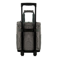 Sac isotherme de pique-nique portable avec roulettes, capacité 28L, fermeture éclair, poignée de transport, poches latérales avant, étanche, pliable, en polyester