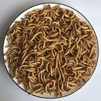 Kesrer — médicaments secs, 10 pièces, ultrafine de médicaments, insectes comestibles pour animaux de compagnie