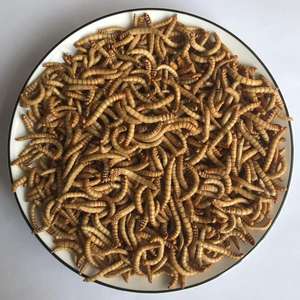 Minhocas secas de refeição congelada, minhocas reptilhas de pássaro, alimentos comestíveis, inseto amarelo, minhoca - Product Image 3