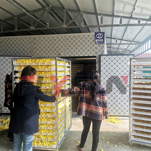 Séchoir à bande maillée automatique à commande PLC, vente chaude en usine, pour le séchage des fleurs de lys, haute efficacité, acier inoxydable 304 - Product Image 5