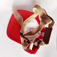 Ours en peluche floral chat oreilles de rosée Design nouveauté chapeau de chien de compagnie été hiver casquette de Baseball solide langue de canard mode