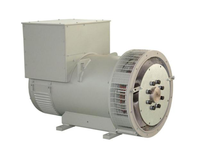 Alternateur sans balais 100% cuivre 230V avec AVR 500kW Prix des alternateurs AC 625kVA Alternateur sans balais