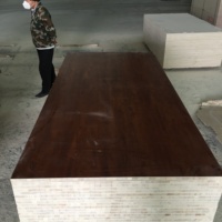 Venta al por mayor de tableros ecológicos de fabricación profesional Venta de fábricas Tablero de bloque Hdf impermeable de 19mm